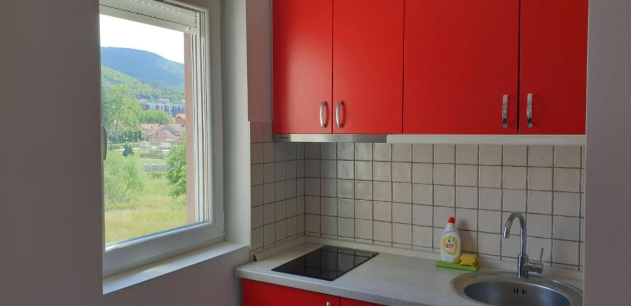 Lux Apartman Ristic 2 Sokobanja Buitenkant foto