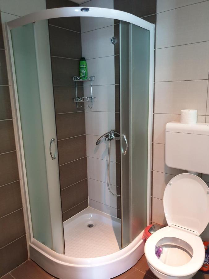 Lux Apartman Ristic 2 Sokobanja Buitenkant foto